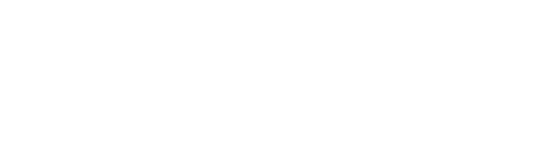 Picard Serrures du groupe Sfpi